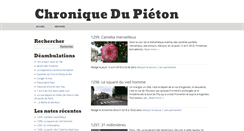 Desktop Screenshot of chroniquedupieton.blogs.com